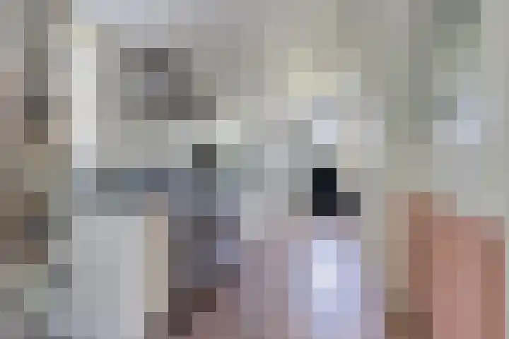 Wâldwei 12 Elahuizen thumbnail 13