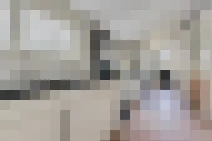 Wâldwei 12 Elahuizen thumbnail 14