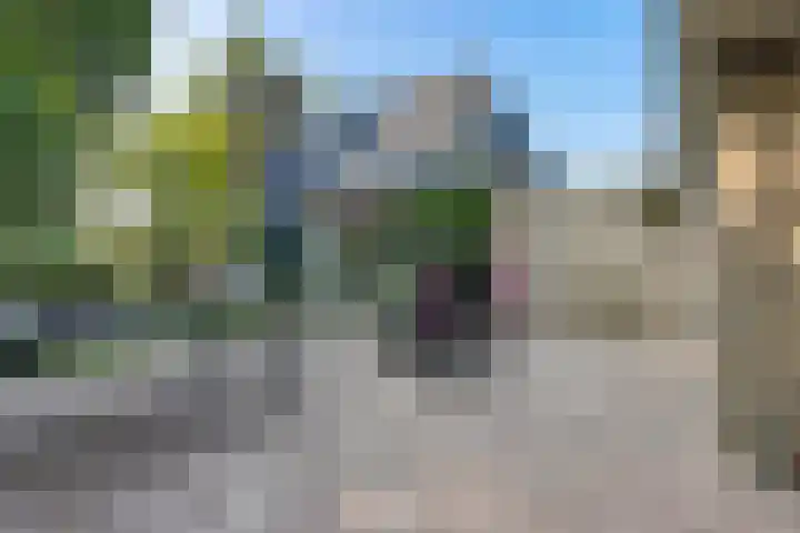 Wâldwei 12 Elahuizen thumbnail 26