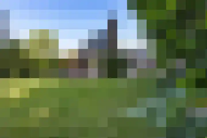 Wâldwei 12 Elahuizen thumbnail 28