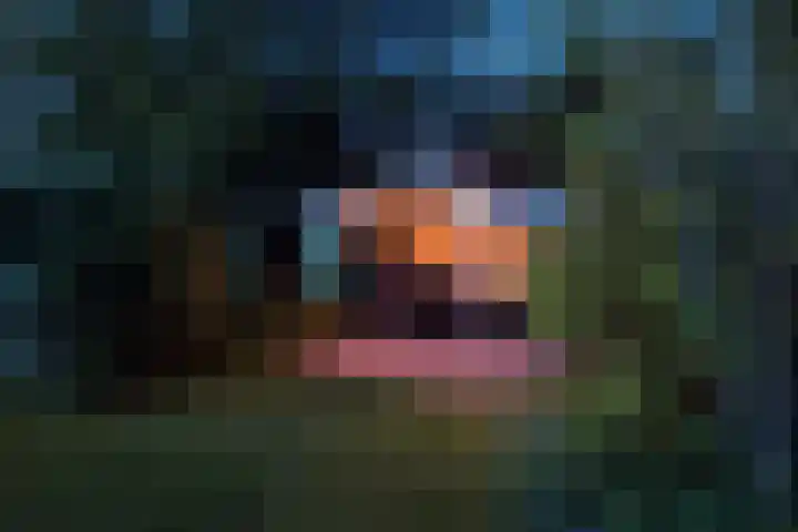 Wâldwei 12 Elahuizen thumbnail 32