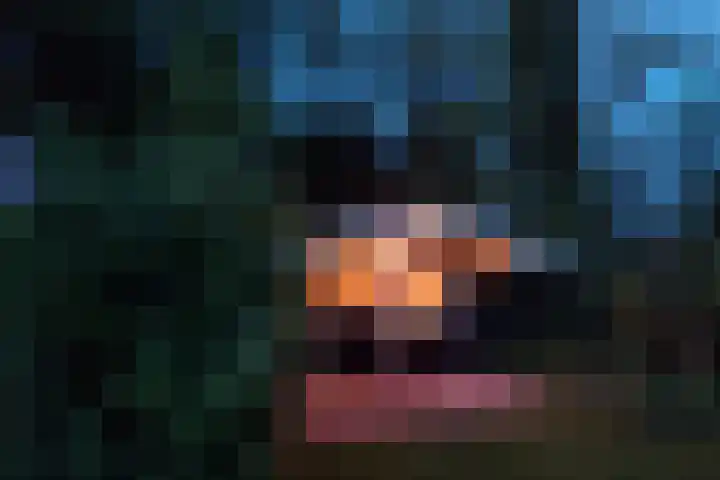 Wâldwei 12 Elahuizen thumbnail 33