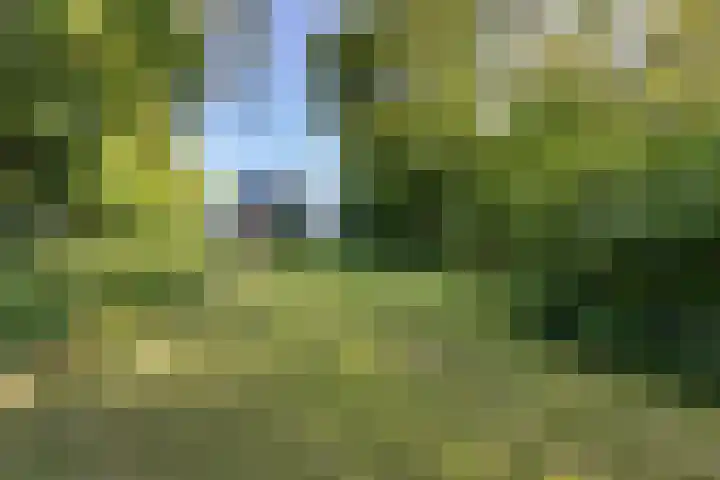 Wâldwei 12 Elahuizen thumbnail 34