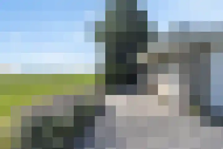 Wâldwei 12 Elahuizen thumbnail 36