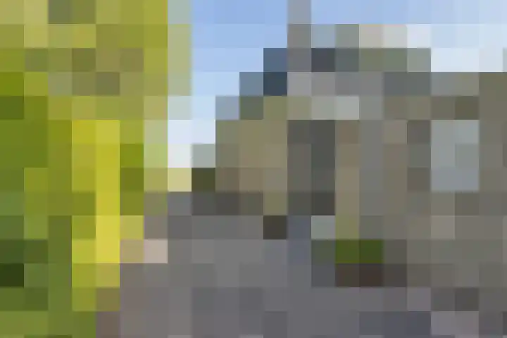 Wâldwei 12 Elahuizen thumbnail 39