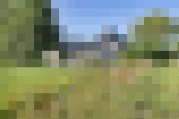 Wâldwei 12 Elahuizen thumbnail 40