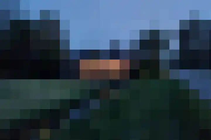 Wâldwei 12 Elahuizen thumbnail 41