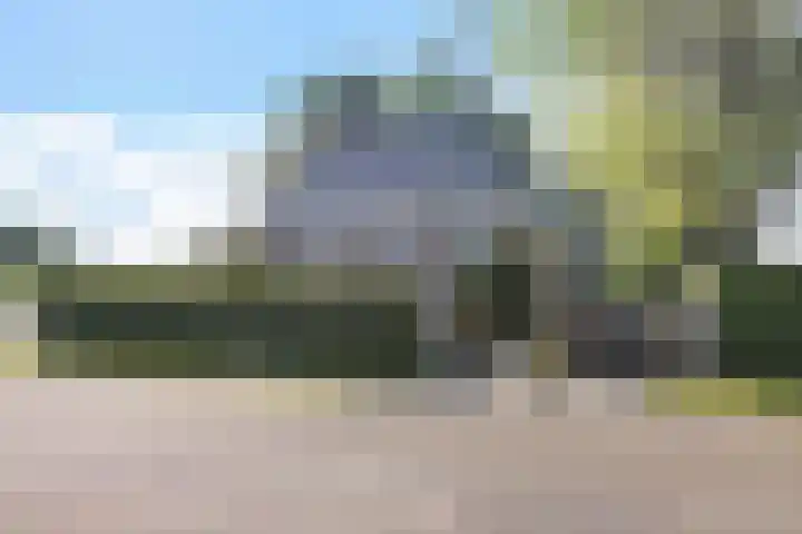 Wâldwei 12 Elahuizen thumbnail 45