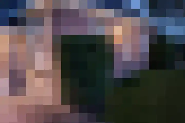 Wâldwei 12 Elahuizen thumbnail 47