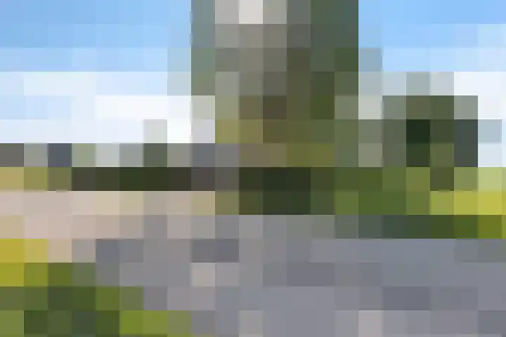 Wâldwei 12 Elahuizen thumbnail 49