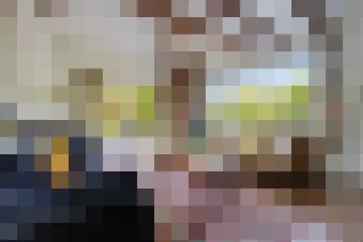 Wâldwei 12 Elahuizen thumbnail 5