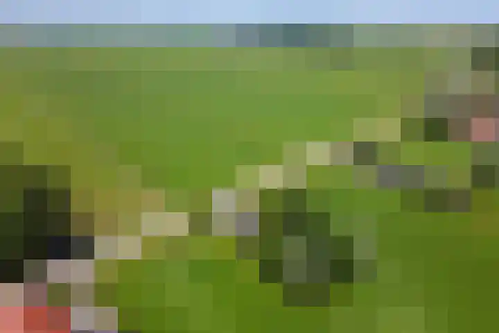 Wâldwei 12 Elahuizen thumbnail 51