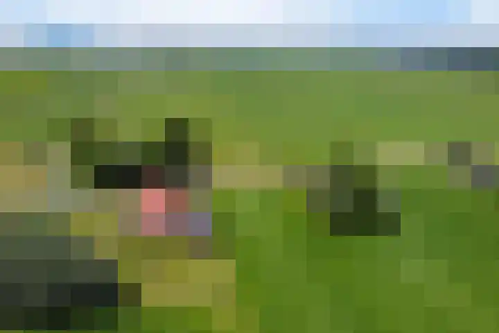 Wâldwei 12 Elahuizen thumbnail 52