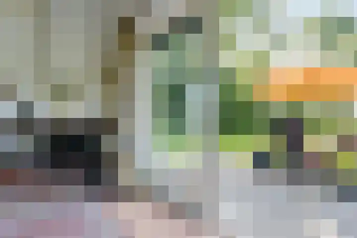 Wâldwei 12 Elahuizen thumbnail 9