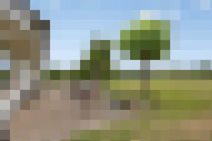 Walem 35 Walem foto 3