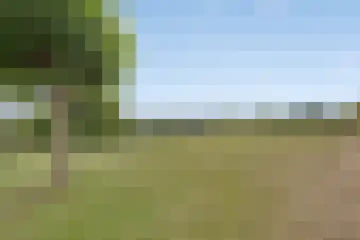 Walem 35 Walem thumbnail 38