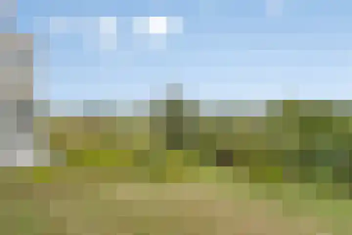 Walem 35 Walem thumbnail 40