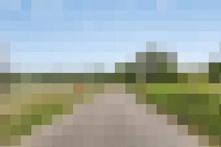 Walem 35 Walem thumbnail 44