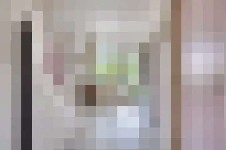 Walem 35 Walem thumbnail 7
