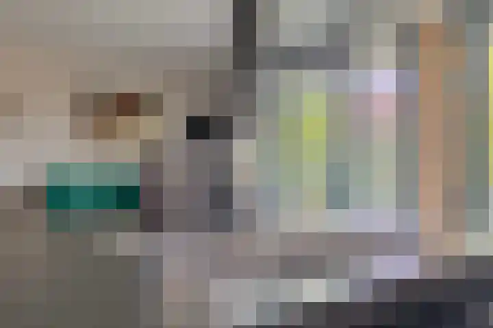 Wales 10 Purmerend thumbnail 15