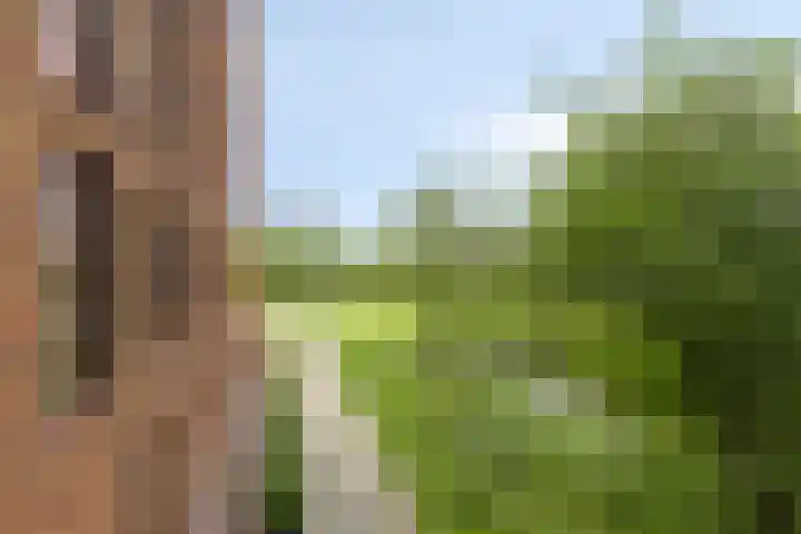 Wales 10 Purmerend thumbnail 34