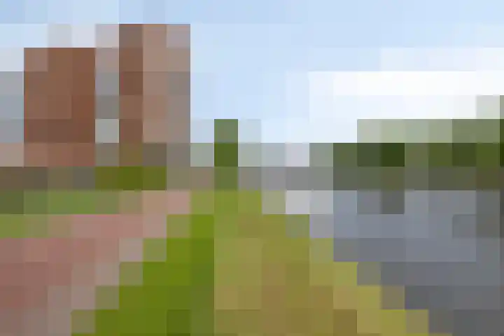 Wales 10 Purmerend thumbnail 37
