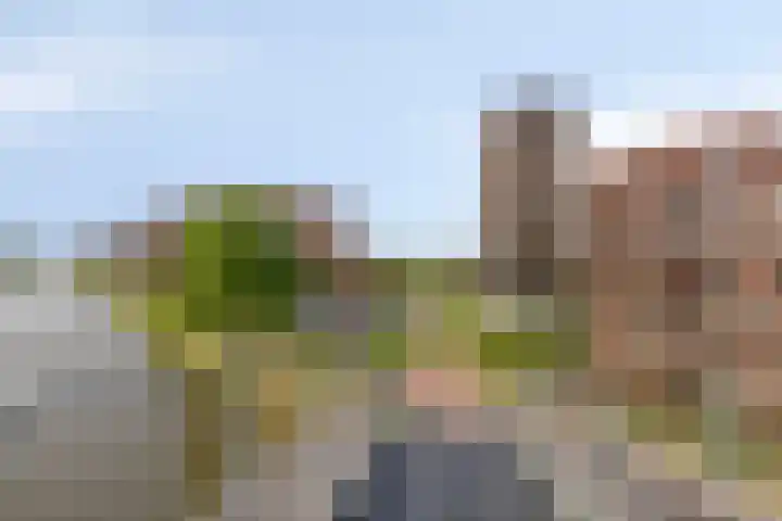 Wales 10 Purmerend thumbnail 39