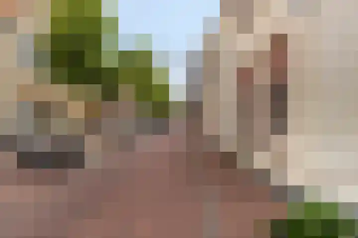 Wales 10 Purmerend thumbnail 43