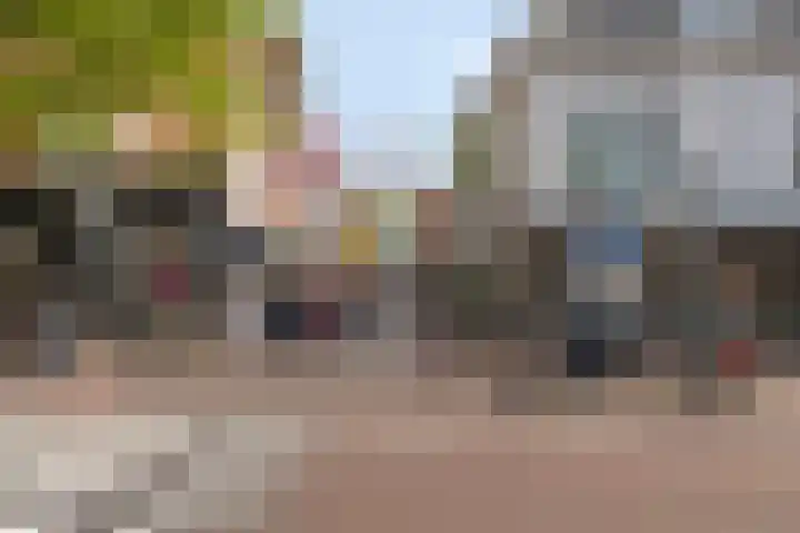 Wales 10 Purmerend thumbnail 44