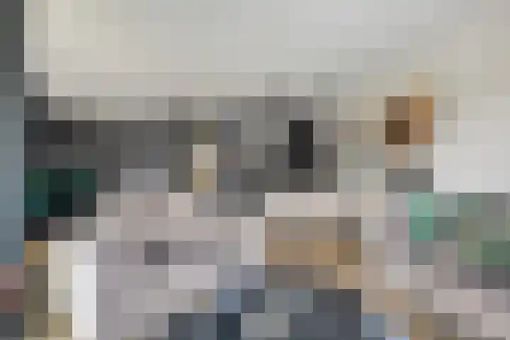 Wales 10 Purmerend thumbnail 8