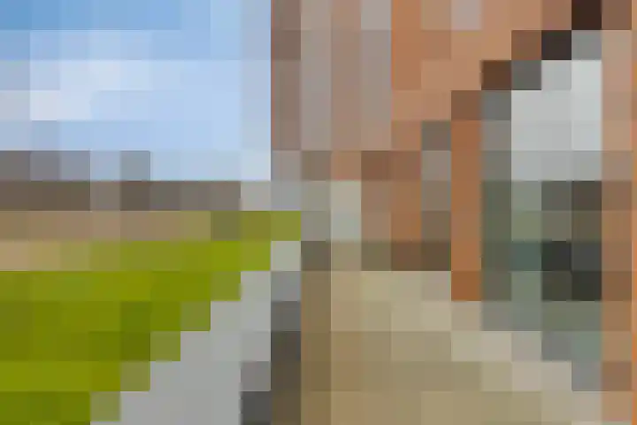 Wales 41 Purmerend thumbnail 30