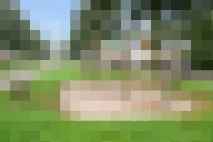 Walessingel 9 Rosmalen thumbnail 53