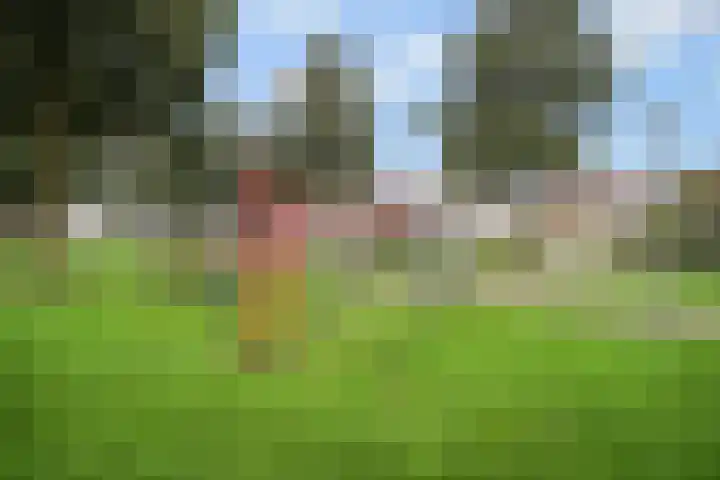 Walessingel 9 Rosmalen thumbnail 54