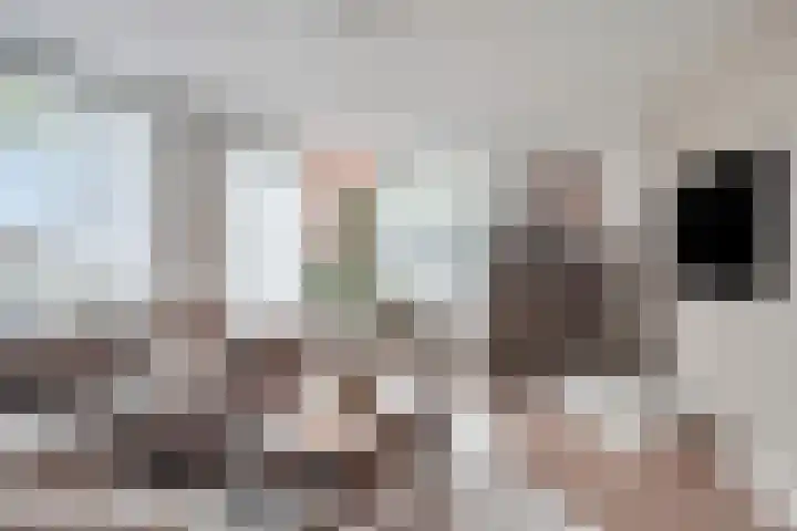 Walessingel 9 Rosmalen thumbnail 6