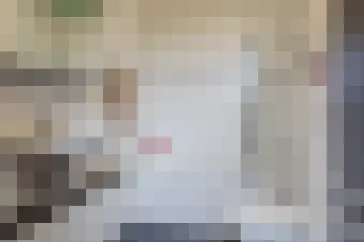 Waleweinlaan 110 Geldrop foto 3