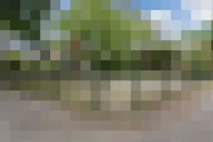 Waleweinlaan 110 Geldrop thumbnail 47