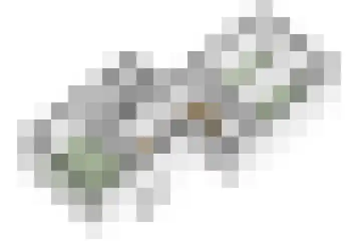 Waleweinlaan 110 Geldrop thumbnail 56