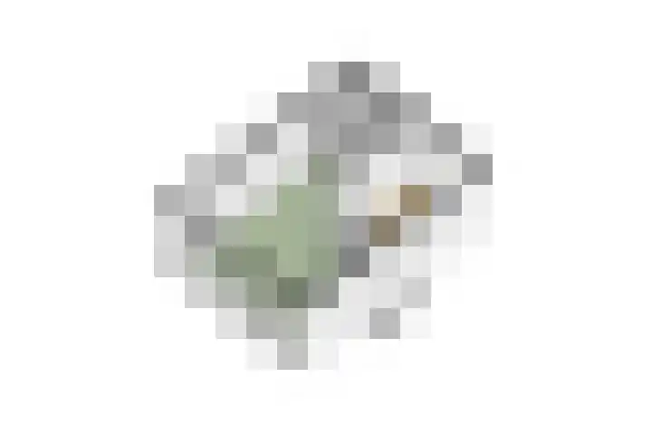 Waleweinlaan 110 Geldrop thumbnail 57