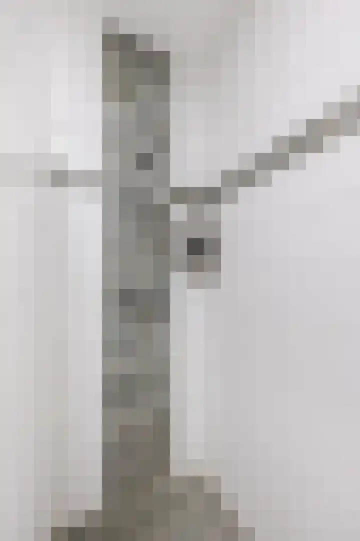 Waleweinlaan 144 Geldrop thumbnail 16