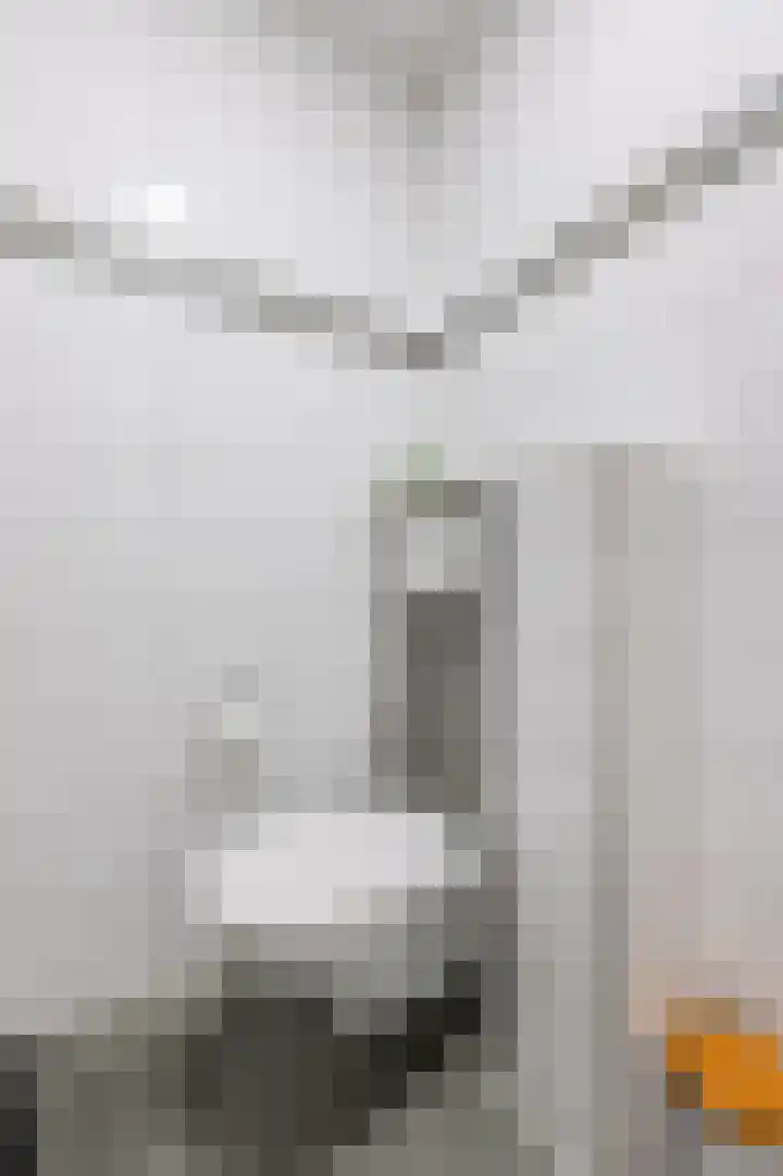 Waleweinlaan 144 Geldrop thumbnail 17