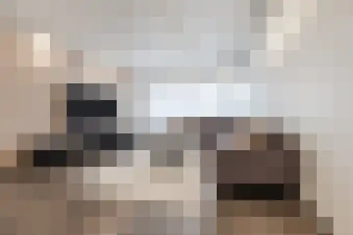 Waleweinlaan 144 Geldrop thumbnail 19