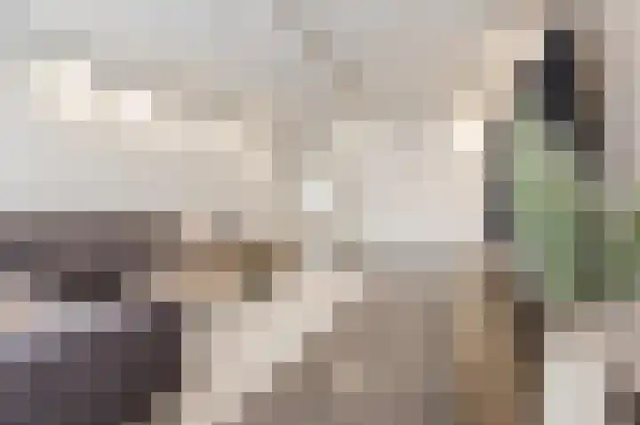 Waleweinlaan 144 Geldrop thumbnail 21