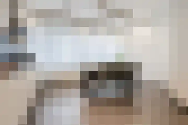 Waleweinlaan 144 Geldrop thumbnail 23