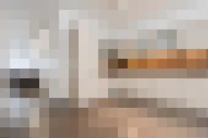 Waleweinlaan 144 Geldrop thumbnail 25