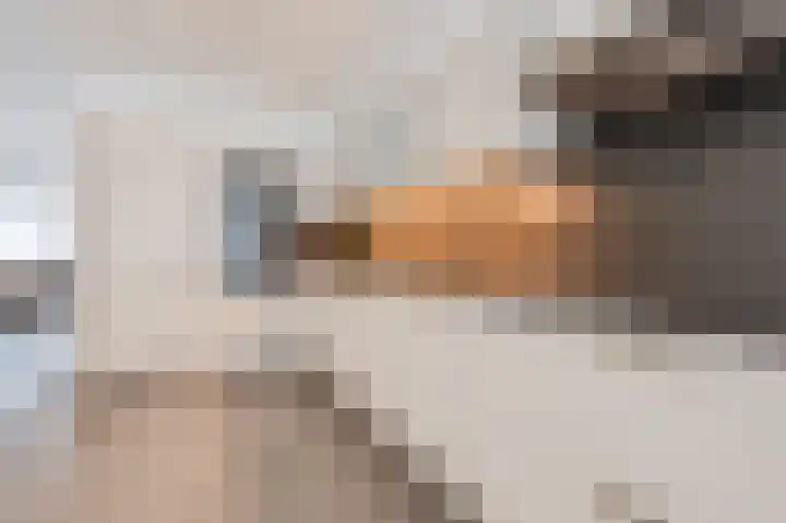Waleweinlaan 144 Geldrop thumbnail 26
