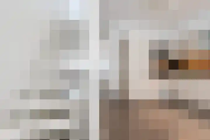 Waleweinlaan 144 Geldrop thumbnail 27