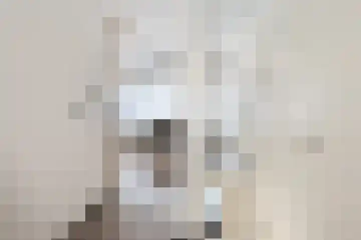 Waleweinlaan 144 Geldrop thumbnail 29