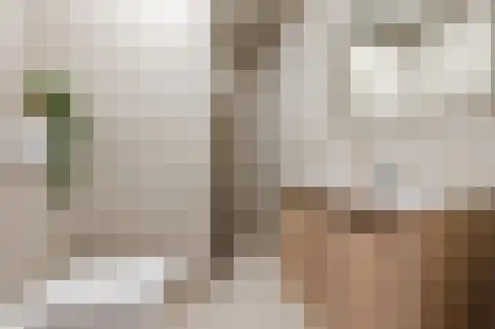 Waleweinlaan 144 Geldrop thumbnail 39
