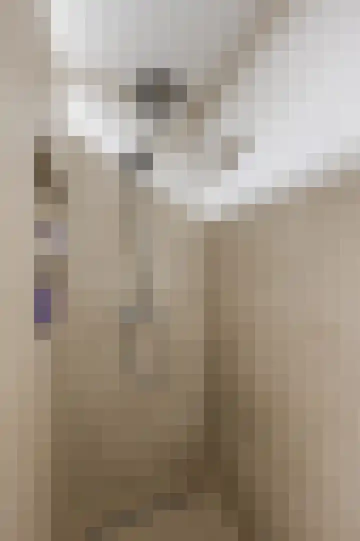 Waleweinlaan 144 Geldrop thumbnail 42