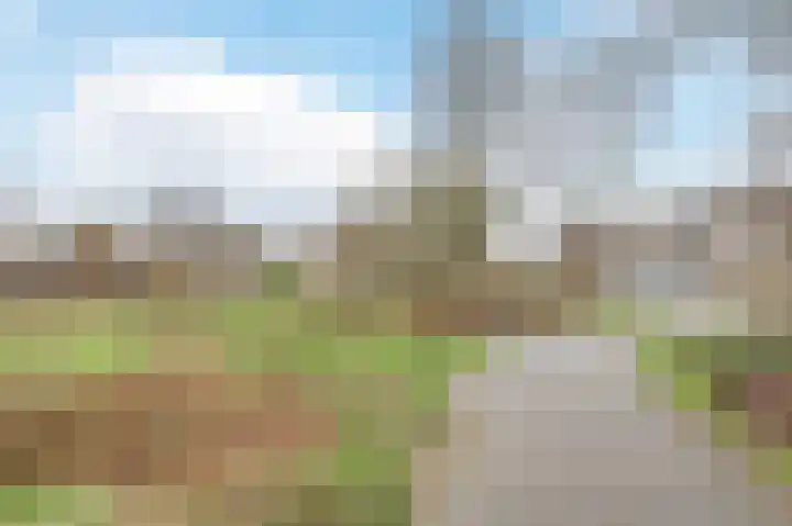 Waleweinlaan 144 Geldrop thumbnail 45
